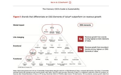 The Visionary CEO Guide to Sustainability